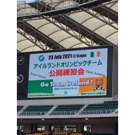 エコパのアイルランド公開練習会に来ました